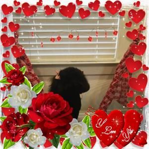 Meet your Posher, Candy reeves